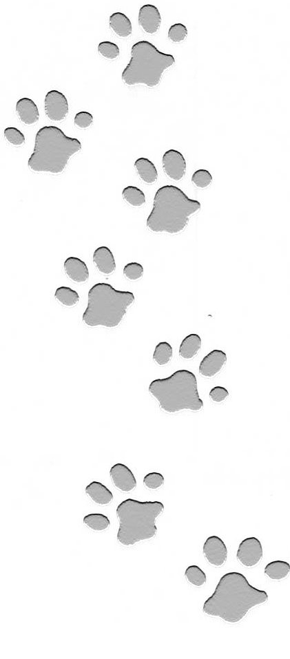 KatzenspurHG