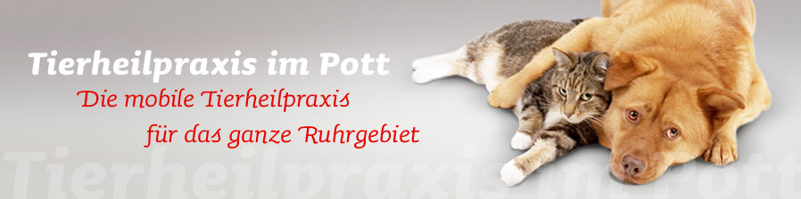 tierheilpraxis_banner