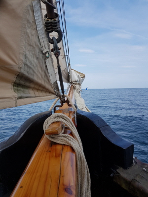 Mit vollen Segeln